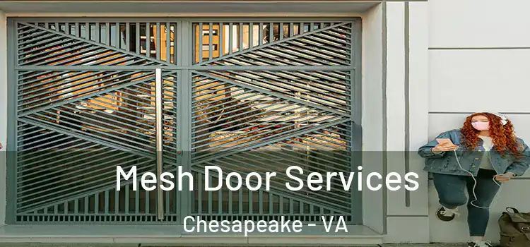 Mesh Door Services Chesapeake - VA