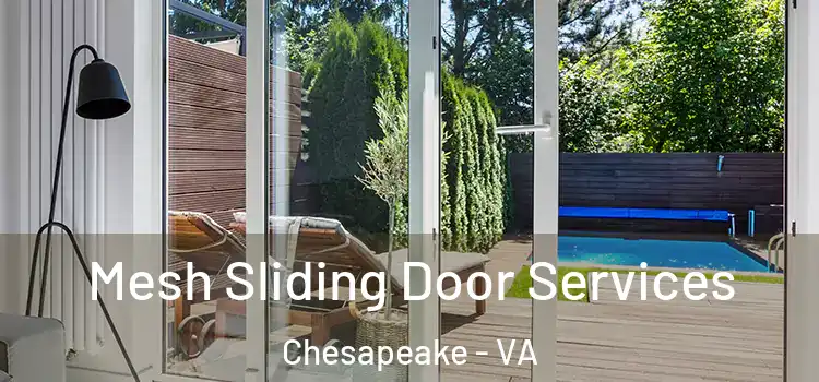 Mesh Sliding Door Services Chesapeake - VA
