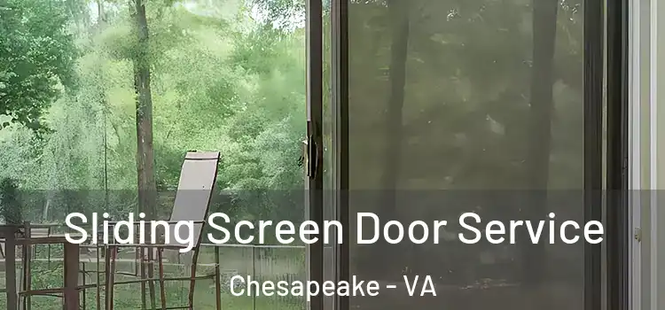 Sliding Screen Door Service Chesapeake - VA